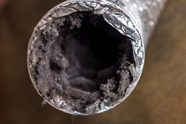 Best Air Duct Cleaning Company Near Me  in Burt, MI